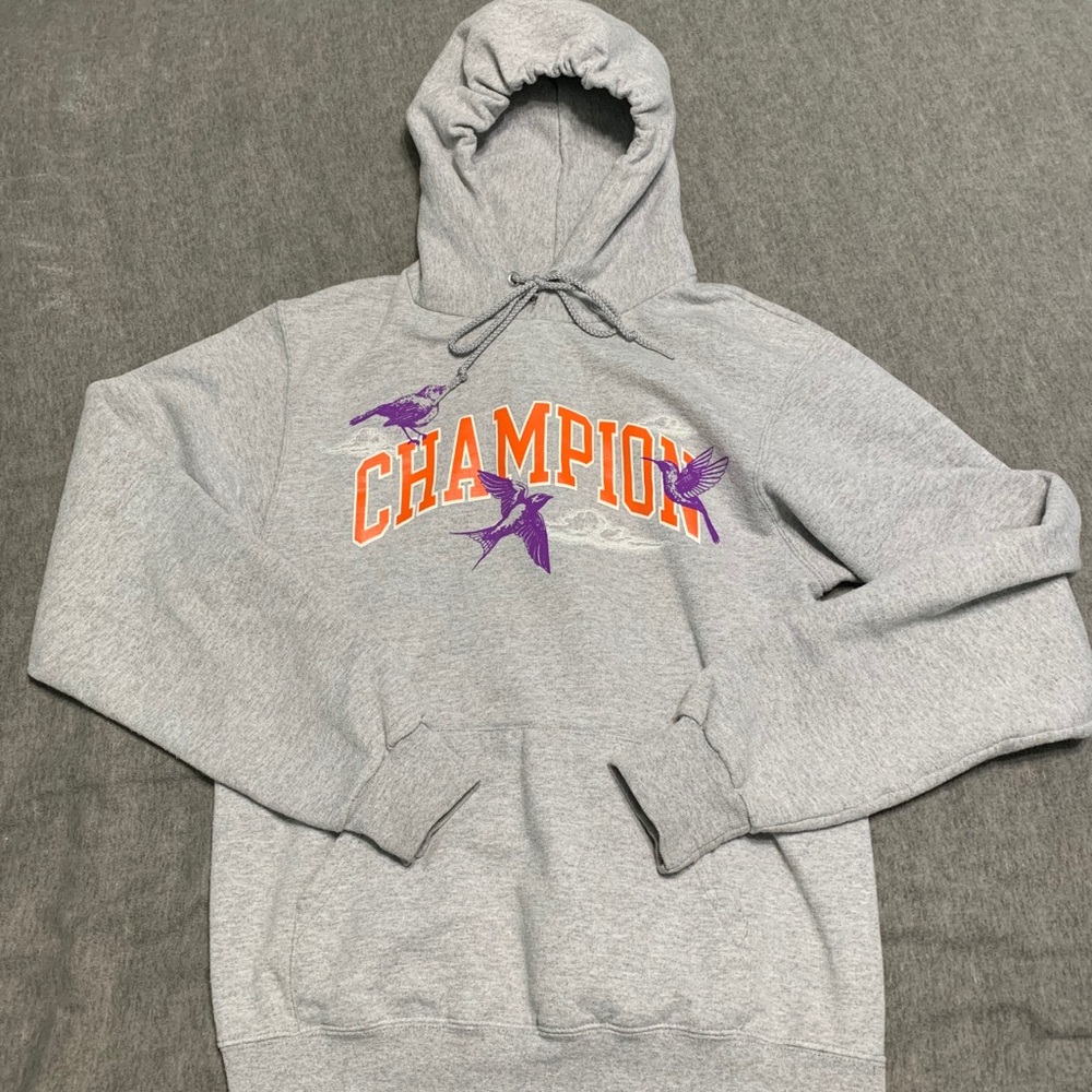RARE champion hoodie